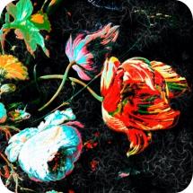  Summer Artistry Air Freshener | My Air Freshener